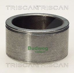 Triscan Kolben, Bremssattel [Hersteller-Nr. 8170235404] für Mg, Volvo von TRISCAN