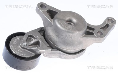 Triscan Spannrolle, Keilrippenriemen [Hersteller-Nr. 8641103052] für Citroën, Ds, Opel, Peugeot, Toyota von TRISCAN