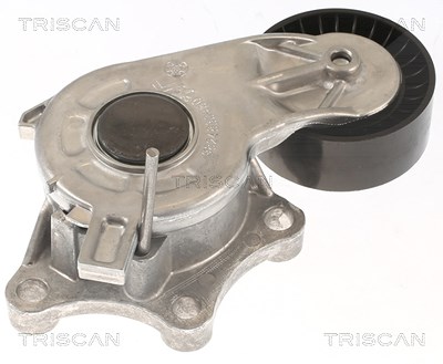 Triscan Spannrolle, Keilrippenriemen [Hersteller-Nr. 8641103056] für Citroën, Peugeot von TRISCAN