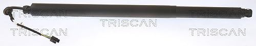 TRISCAN Gasfeder, Koffer-/Laderaum 871029313 von TRISCAN