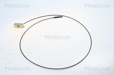 Triscan 1x Handbremsseil Scheibenbremse Hinterachse [Hersteller-Nr. 8140251101] für Nissan, Opel, Renault von TRISCAN