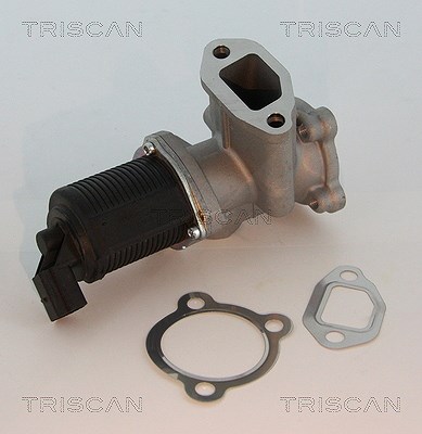 Triscan AGR-Ventil [Hersteller-Nr. 881310003] für Alfa Romeo, Fiat, Lancia, Opel von TRISCAN