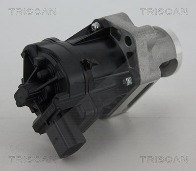 Triscan AGR-Ventil [Hersteller-Nr. 881310006] für Suzuki, Fiat, Jeep, Alfa Romeo, Cadillac, Lancia, Saab von TRISCAN