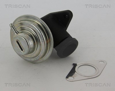 Triscan AGR-Ventil [Hersteller-Nr. 881328042] für Citroën, Fiat, Lancia, Peugeot, Suzuki von TRISCAN