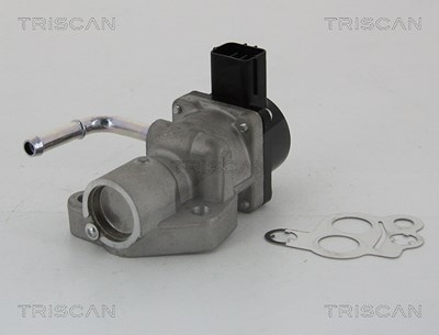 Triscan AGR-Ventil [Hersteller-Nr. 881310014] für Ford, Mazda, Volvo von TRISCAN