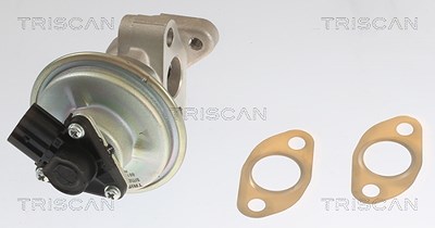 Triscan AGR-Ventil [Hersteller-Nr. 881310054] für Ford, Mazda von TRISCAN