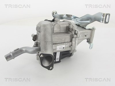 Triscan AGR-Ventil [Hersteller-Nr. 881310103] für Volvo, Peugeot, Citroën von TRISCAN