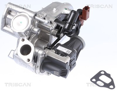 Triscan AGR-Ventil [Hersteller-Nr. 881310108] für Fiat, Opel, Chevrolet von TRISCAN