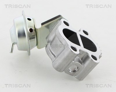 Triscan AGR-Ventil [Hersteller-Nr. 881313060] für Toyota, Lexus von TRISCAN