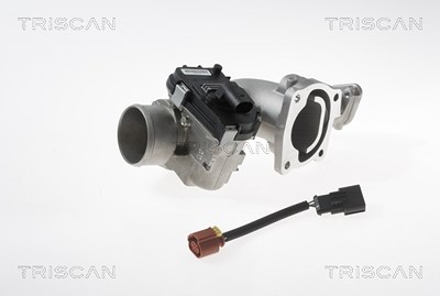 Triscan AGR-Ventil [Hersteller-Nr. 881315100] für Fiat, Iveco von TRISCAN