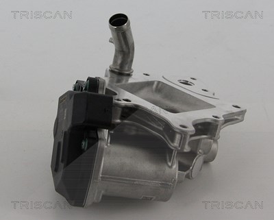 Triscan AGR-Ventil [Hersteller-Nr. 881315205] für Citroën, Fiat, Peugeot von TRISCAN