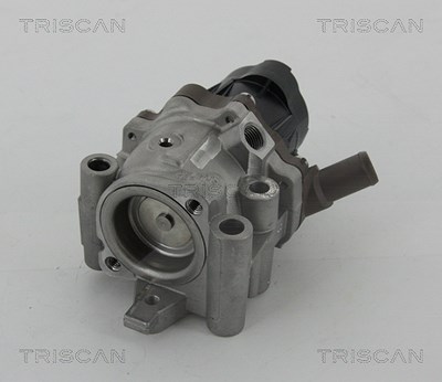 Triscan AGR-Ventil [Hersteller-Nr. 881315208] für Fiat von TRISCAN
