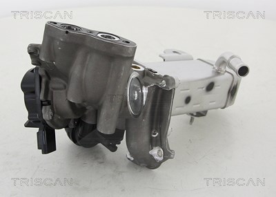 Triscan AGR-Ventil [Hersteller-Nr. 881316014] für Citroën, Fiat, Ford, Peugeot von TRISCAN