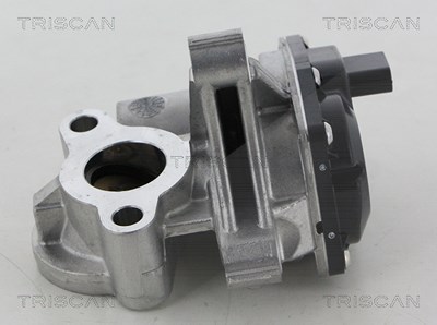 Triscan AGR-Ventil [Hersteller-Nr. 881325041] für Mercedes-Benz, Opel, Renault von TRISCAN