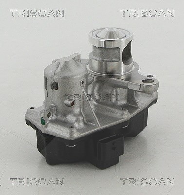 Triscan AGR-Ventil [Hersteller-Nr. 881325042] für Mercedes-Benz, Nissan, Opel, Renault von TRISCAN