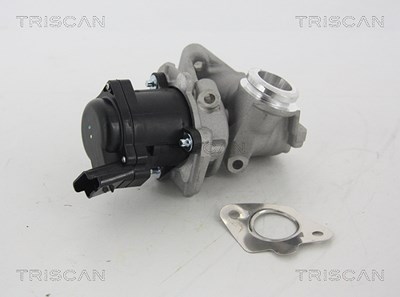 Triscan AGR-Ventil [Hersteller-Nr. 881328003] für Citroën, Ford, Peugeot, Toyota von TRISCAN