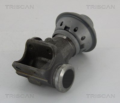 Triscan AGR-Ventil [Hersteller-Nr. 881328013] für Citroën, Fiat, Peugeot von TRISCAN