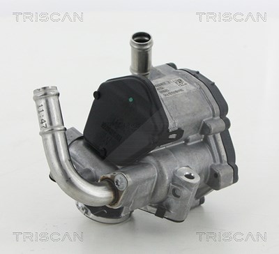 Triscan AGR-Ventil [Hersteller-Nr. 881329069] für Audi, Seat, Skoda, VW von TRISCAN