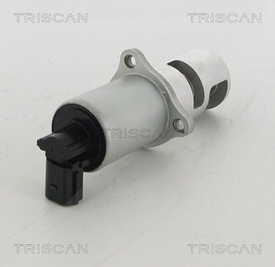 Triscan AGR-Ventil [Hersteller-Nr. 881310100] für Nissan, Renault von TRISCAN