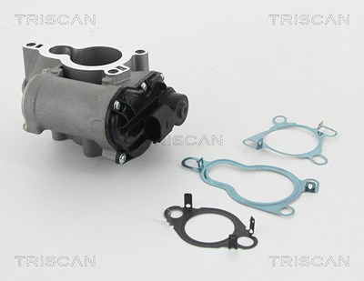 Triscan AGR-Ventil [Hersteller-Nr. 881325010] für Renault, Opel von TRISCAN