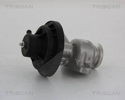 Triscan AGR-Ventil [Hersteller-Nr. 881329034] für Seat, Skoda, VW von TRISCAN