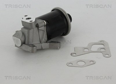 Triscan AGR-Ventil [Hersteller-Nr. 881329100] für Seat, VW von TRISCAN