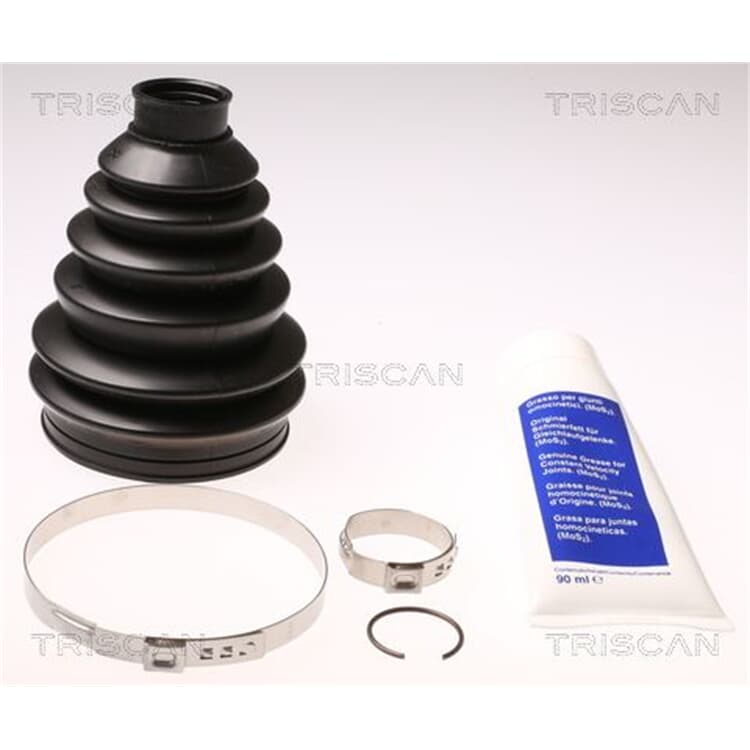 Triscan Achsmanschetten Kit Au?en Renault Clio Megane Kangoo Sc?nic Thalia von TRISCAN