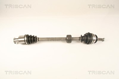 Triscan Antriebswelle [Hersteller-Nr. 854025673] für Dacia, Renault von TRISCAN