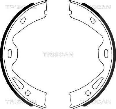 Triscan Bremsbackensatz, Feststellbremse [Hersteller-Nr. 810020005] für Porsche von TRISCAN