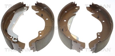 Triscan Bremsbackensatz [Hersteller-Nr. 810010577] für Fiat, Opel, Nissan, Renault von TRISCAN