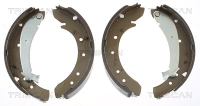 Triscan Bremsbackensatz für Trommelbremse [Hersteller-Nr. 810010576] für Citroën, Fiat, Peugeot, Toyota von TRISCAN