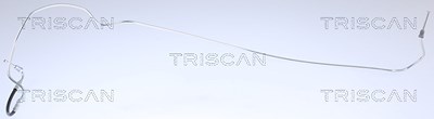 Triscan Bremsschlauch Hinterachse rechts [Hersteller-Nr. 815025228] für Renault von TRISCAN