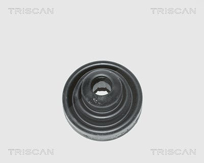 Triscan Faltenbalgsatz, Antriebswelle [Hersteller-Nr. 854015908] für Seat, Fiat, Autobianchi, Ford von TRISCAN