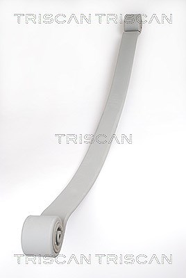 Triscan Federnpaket (Blattfeder) Hinterachse [Hersteller-Nr. 876523019] für Mercedes-Benz, VW von TRISCAN