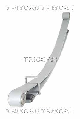 Triscan Federnpaket [Hersteller-Nr. 876510011] für Nissan, Opel, Renault von TRISCAN