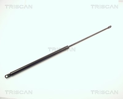 Triscan Gasfeder, Koffer-/Laderaum [Hersteller-Nr. 87103801] für Citroën von TRISCAN