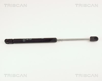 Triscan Gasfeder, Koffer-/Laderaum [Hersteller-Nr. 871016225] für Ford von TRISCAN