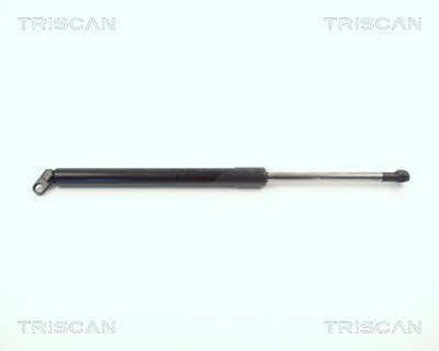 Triscan Gasfeder, Koffer-/Laderaum [Hersteller-Nr. 871011209] für BMW von TRISCAN