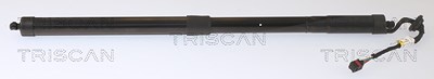 Triscan Gasfeder, Koffer-/Laderaum [Hersteller-Nr. 871027307] für Volvo von TRISCAN