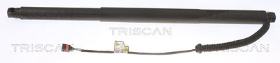 Triscan Gasfeder, Koffer-/Laderaum [Hersteller-Nr. 871029304] für Seat, VW von TRISCAN