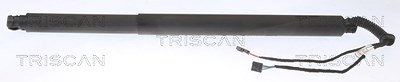 Triscan Gasfeder, Koffer-/Laderaum [Hersteller-Nr. 871029311] für Skoda von TRISCAN