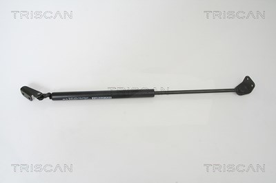 Triscan Gasfeder, Koffer-/Laderaum [Hersteller-Nr. 871043222] für Hyundai von TRISCAN