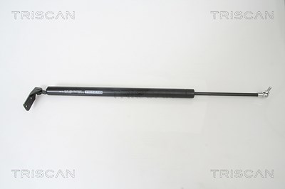 Triscan Gasfeder, Koffer-/Laderaum [Hersteller-Nr. 871042237] für Mitsubishi von TRISCAN