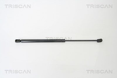 Triscan Gasfeder, Koffer-/Laderaum [Hersteller-Nr. 871014241] für Nissan von TRISCAN