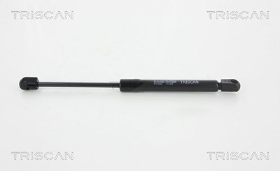 Triscan Gasfeder, Koffer-/Laderaum [Hersteller-Nr. 871028245] für Peugeot von TRISCAN