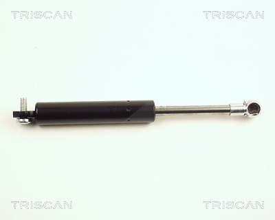 Triscan Gasfeder, Koffer-/Laderaum [Hersteller-Nr. 871025212] für Renault von TRISCAN