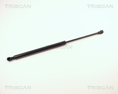 Triscan Gasfeder, Koffer-/Laderaum [Hersteller-Nr. 871013256] für Toyota von TRISCAN