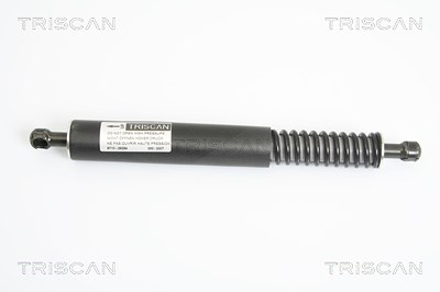 Triscan Gasfeder, Koffer-/Laderaum [Hersteller-Nr. 871029264] für VW von TRISCAN