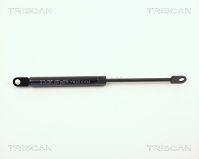 Triscan Gasfeder, Motorhaube [Hersteller-Nr. 87101101] für BMW von TRISCAN