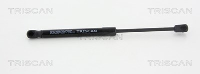 Triscan Gasfeder, Motorhaube [Hersteller-Nr. 871029134] für Audi von TRISCAN